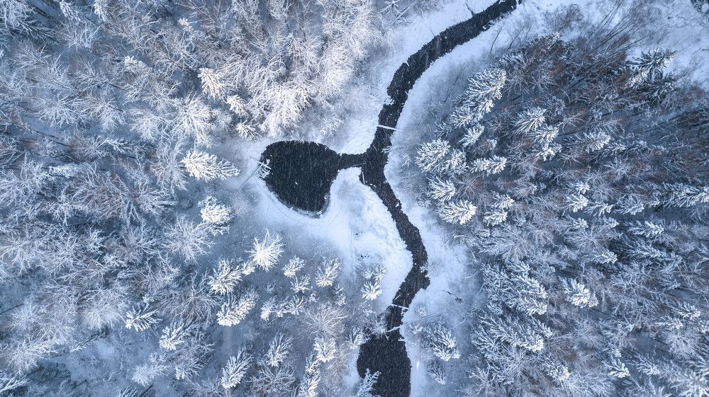 Photograph by Сергей Смирнов