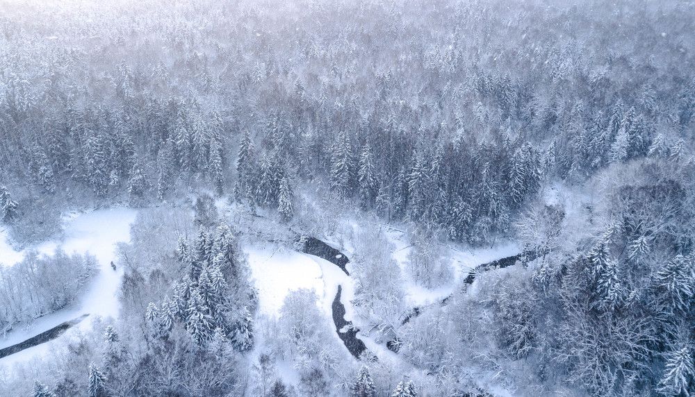 Photograph by Сергей Смирнов