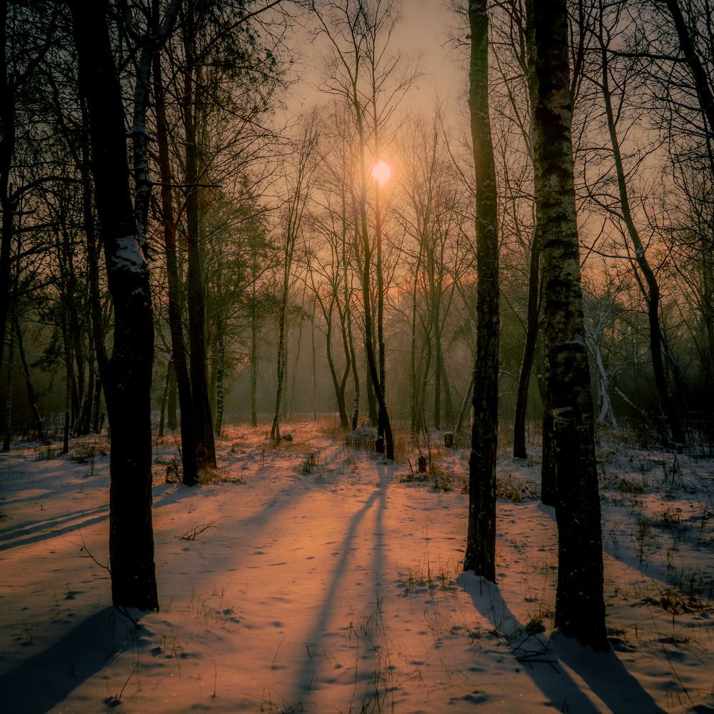 Photograph by Andrew Demianenko