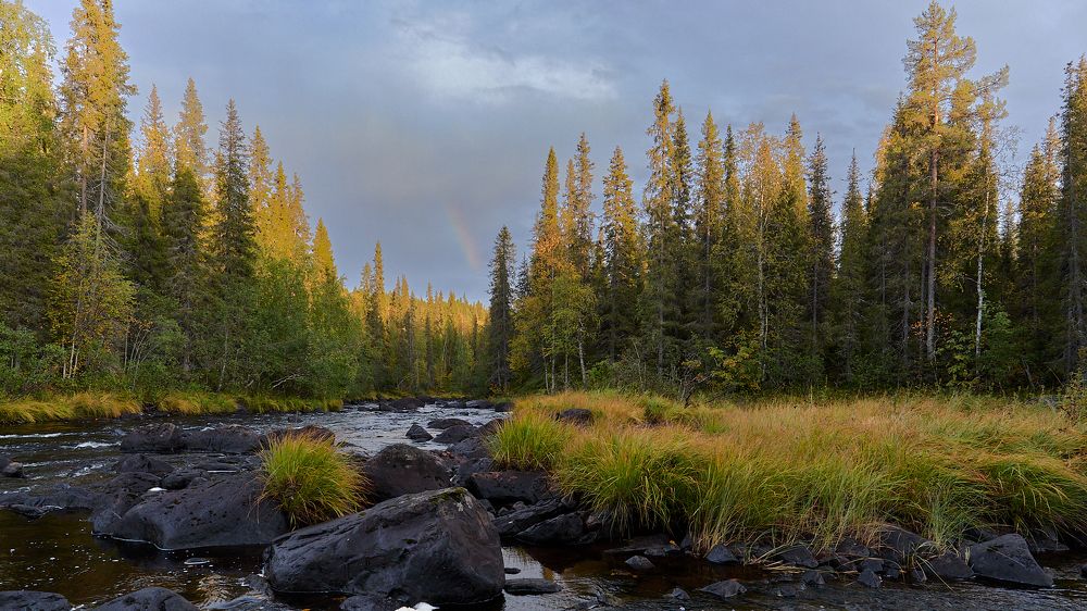 Фотография автора Mikhail Mikhaylov