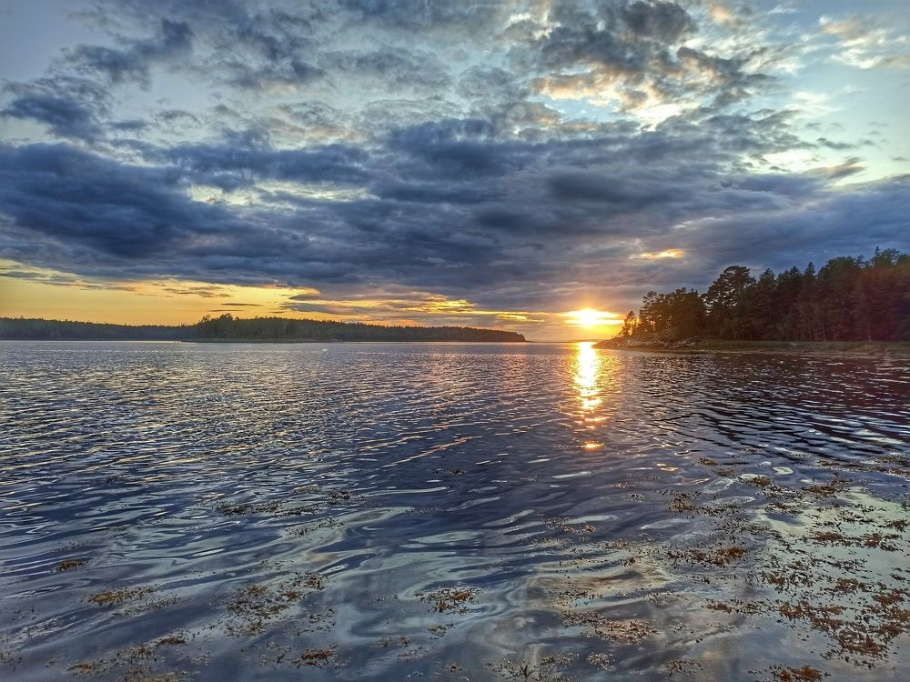 Photograph by Алексей Жданов