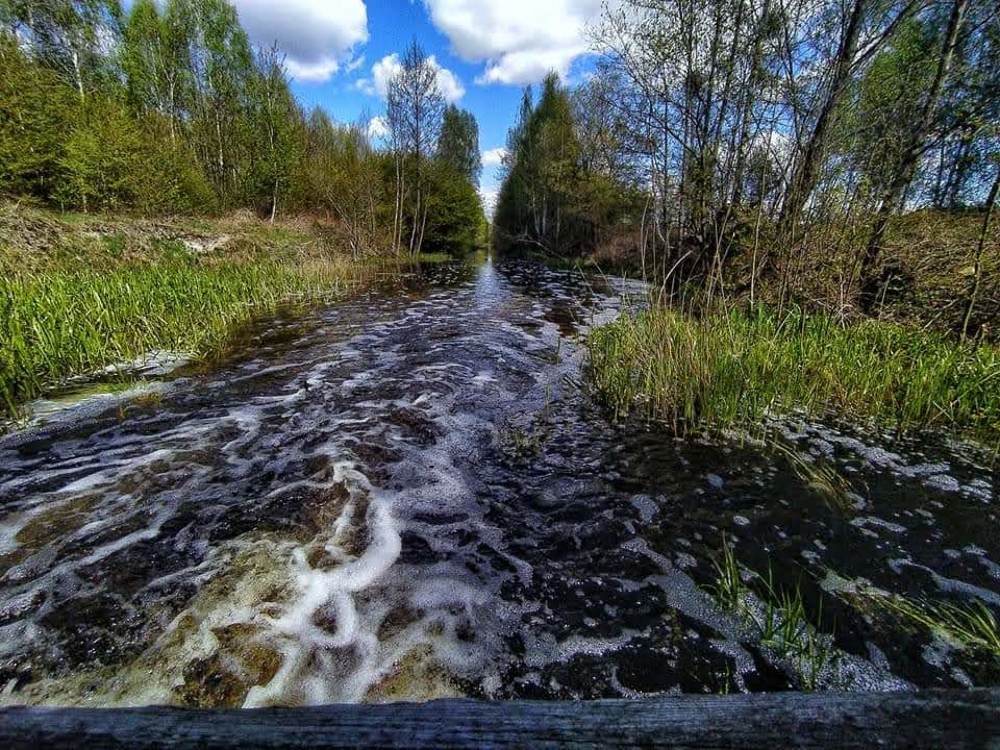 Photograph by Наталья Котяй