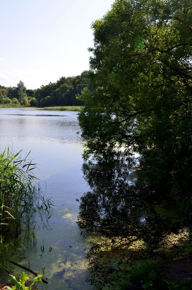 Фотография автора Александр Кондаков