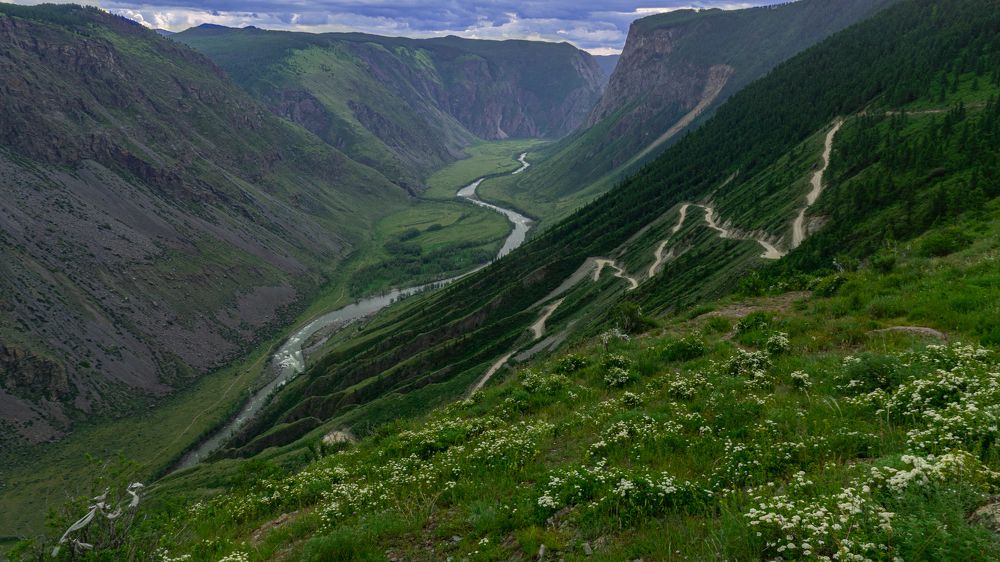 Фотография автора Алексей Моховиков