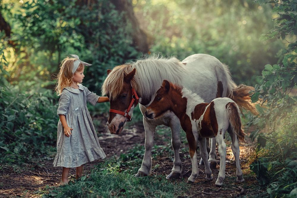 Фотография автора Мария Путилина