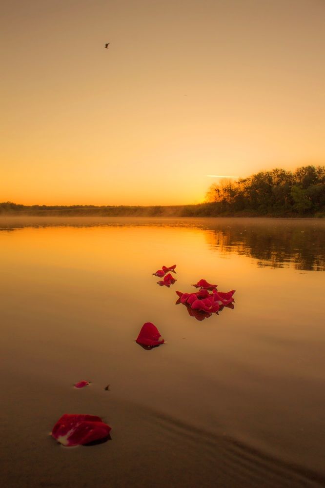 Photograph by Наталия Никитинская