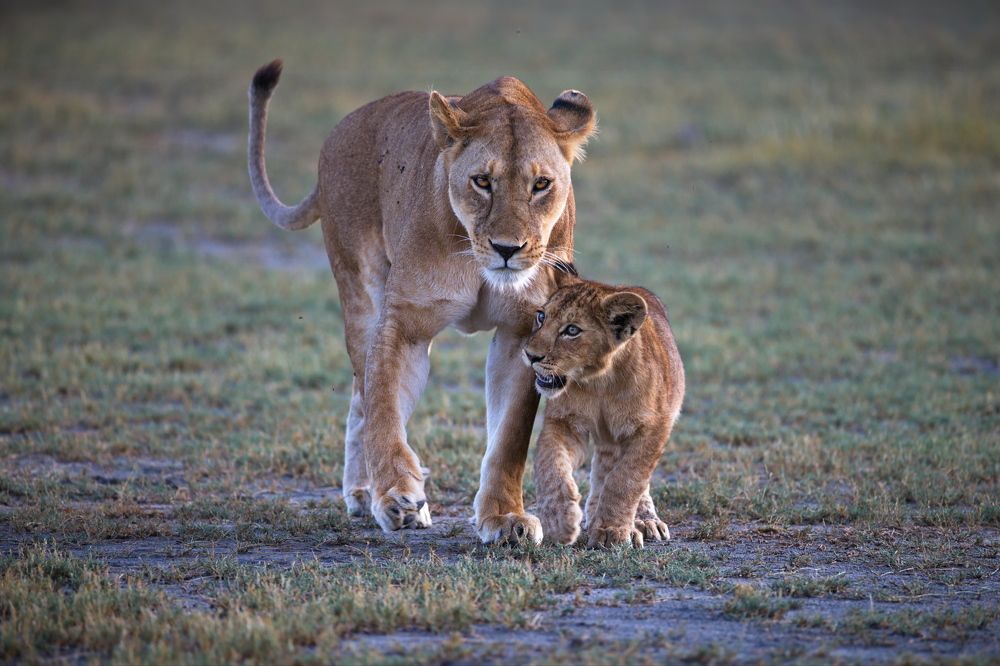 Душевный разговор