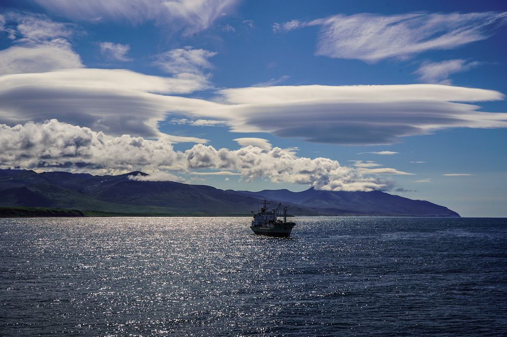 У берегов Камчатки