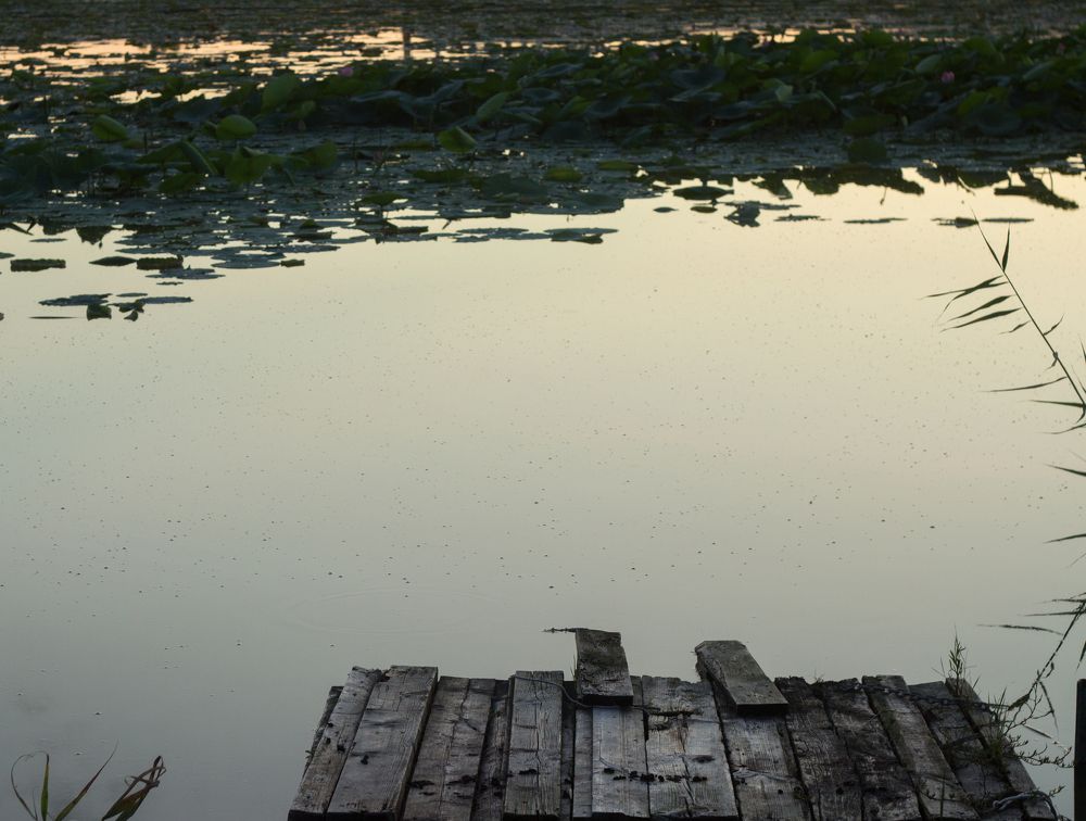 Photograph by Александр Редько