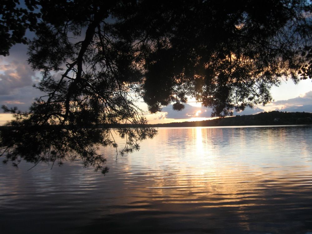 Photograph by Денис Смородин