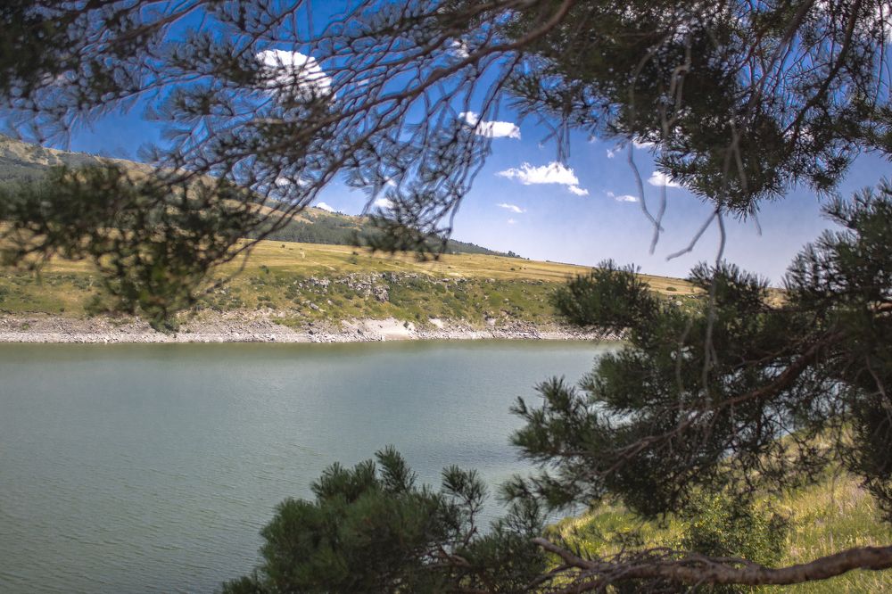 Photograph by Марина Нуриджанян