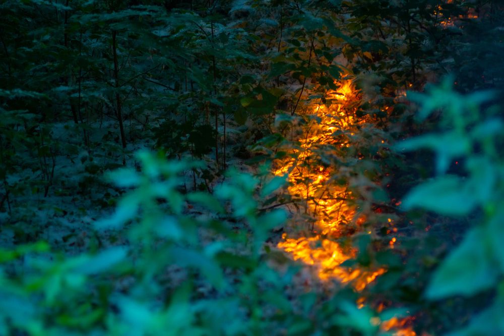 Photograph by Дмитрий Кашицин