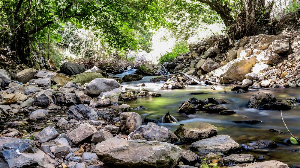 From the cold rivers in Algeria