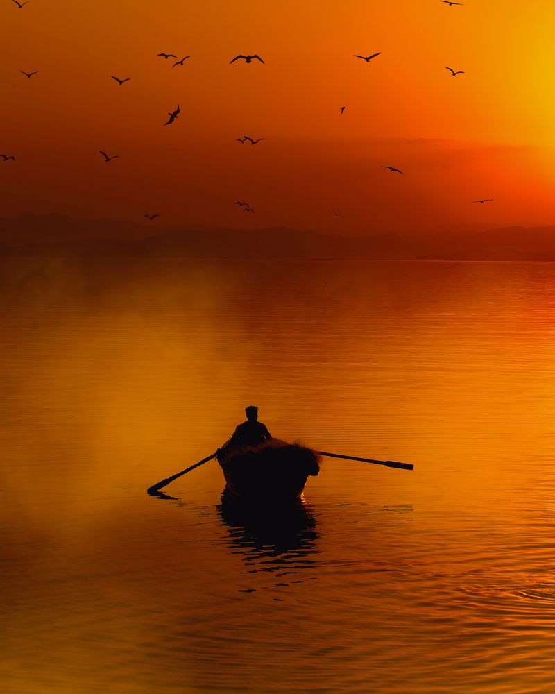 Photograph by iamrawareus