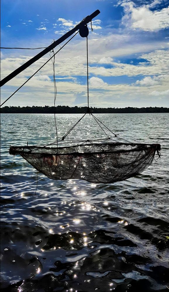 Photograph by Vinayak V