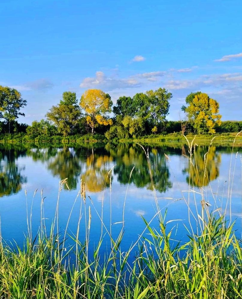 Photograph by Ольга Веселова