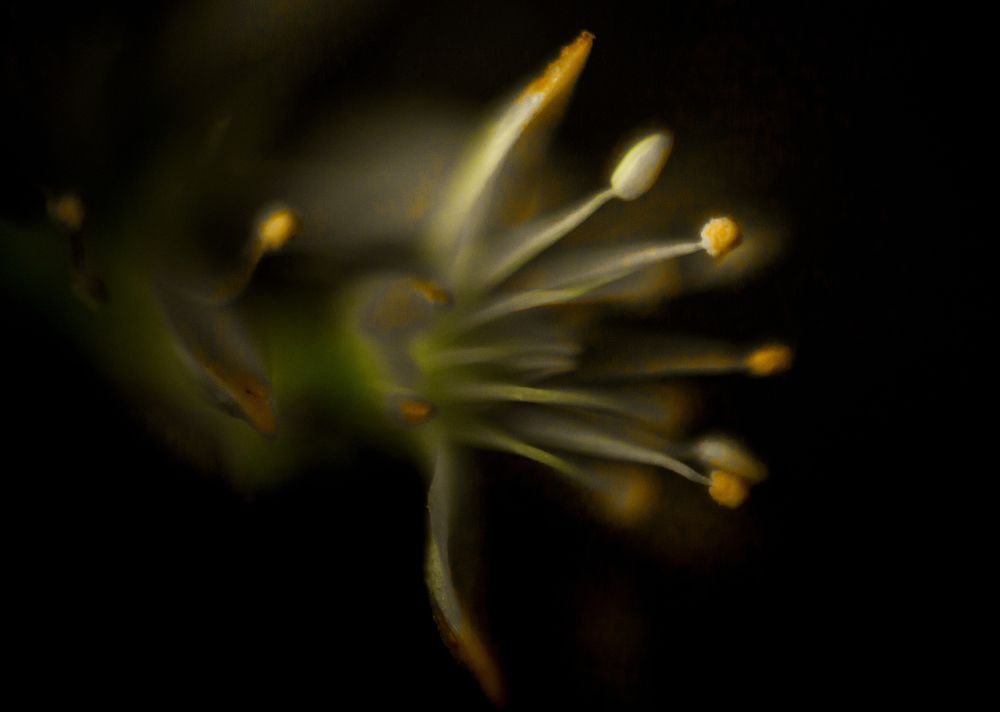 Photograph by Rade Lukovic