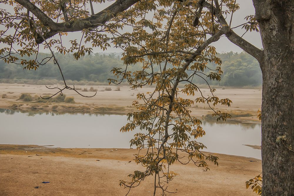 Фотография автора Anil Prabhakar