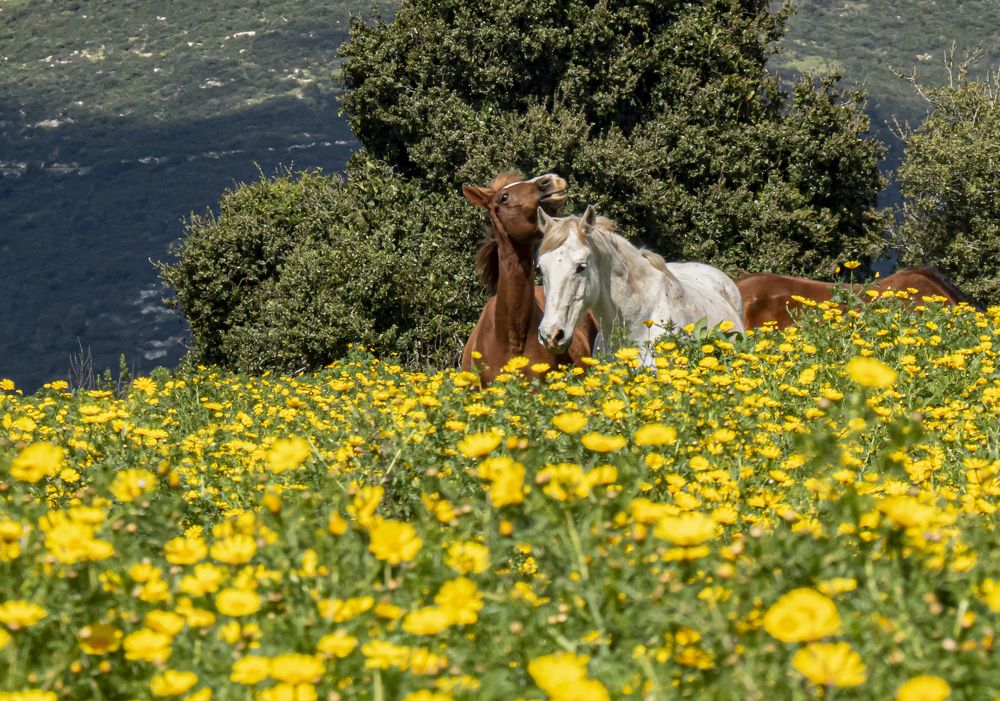 Photograph by Marina Starovoyt