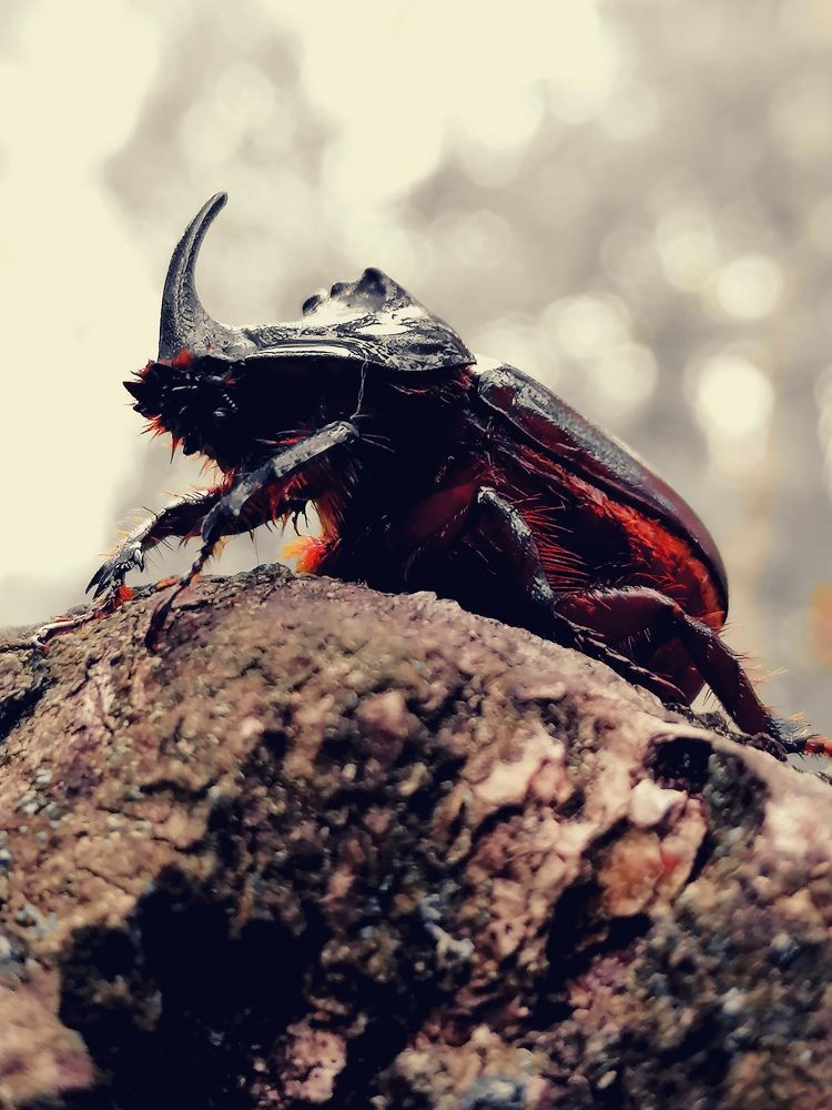 Photograph by Алексей Савинов