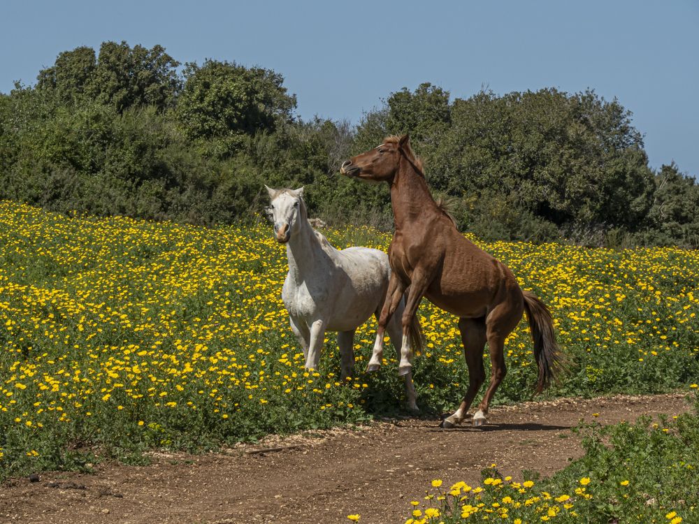 Photograph by Marina Starovoyt