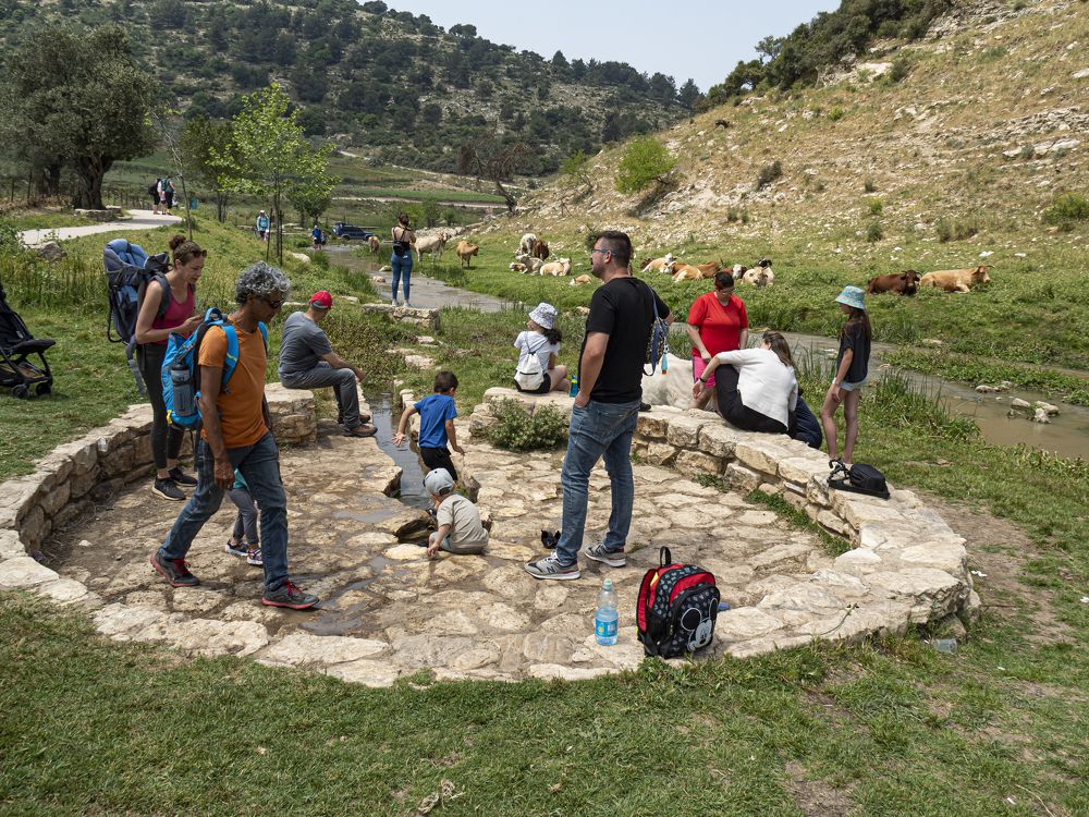 Фотография автора Marina Starovoyt