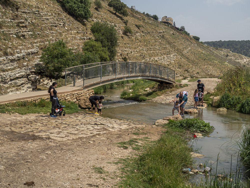Фотография автора Marina Starovoyt