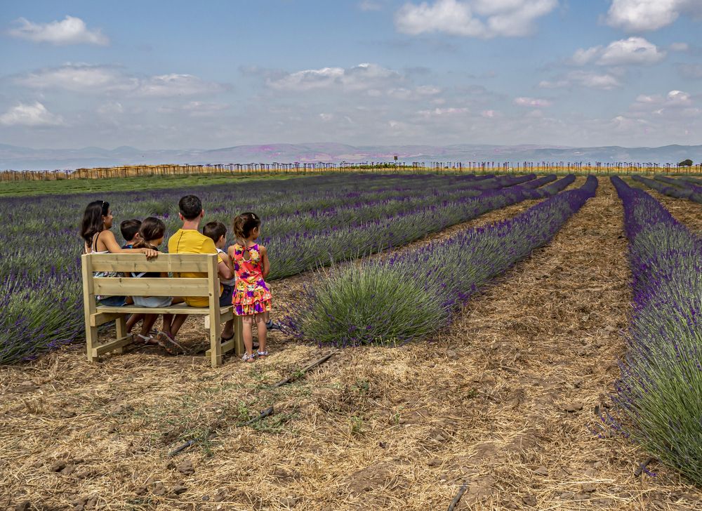 Фотография автора Marina Starovoyt