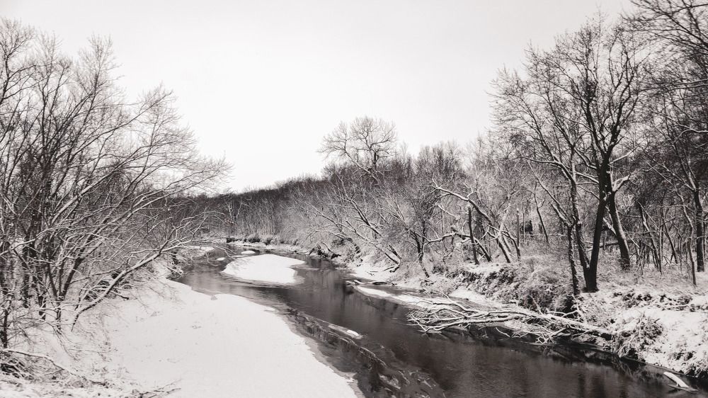 Фотография автора Katherine Bianko