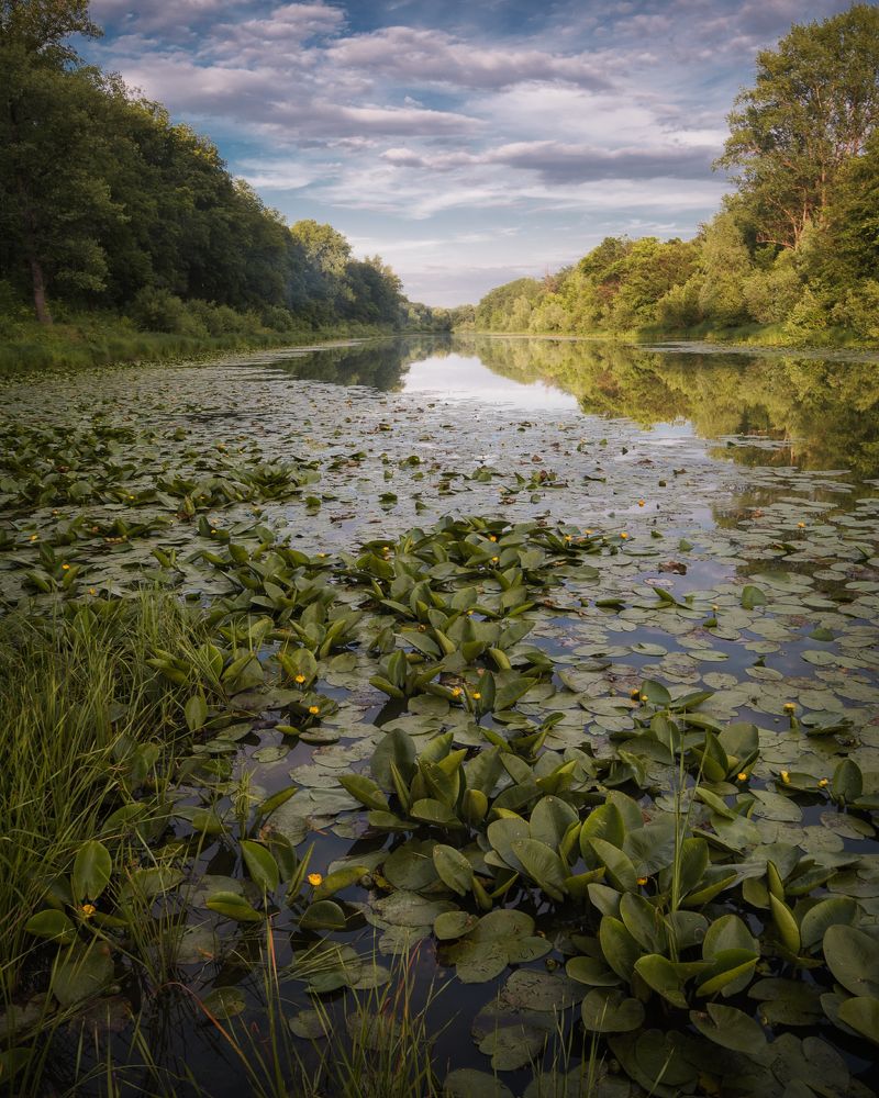 Фотография автора Алексей Проняхин