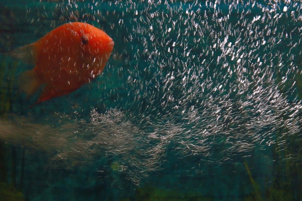 Photograph by Екатерина Афанасьева