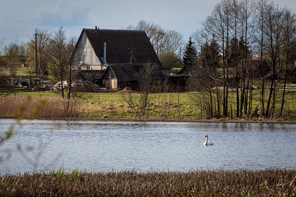 река Каменка