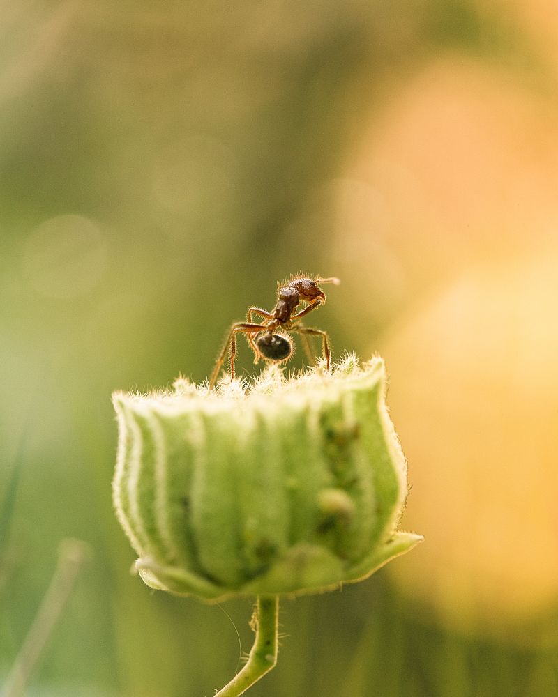 Photograph by Hemraj Chavhan A