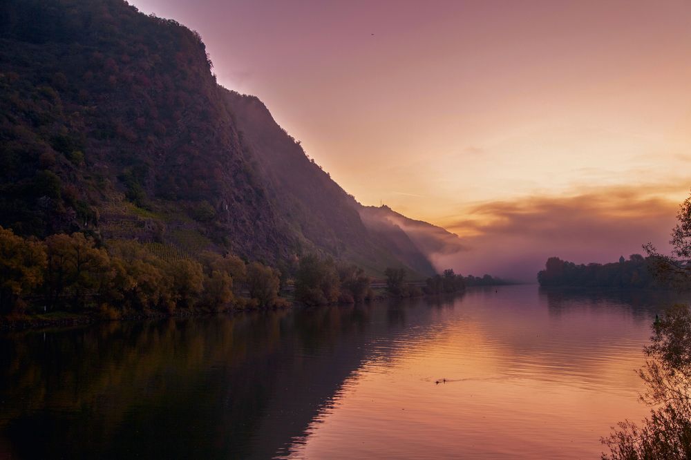 Photograph by Елена Фетисова