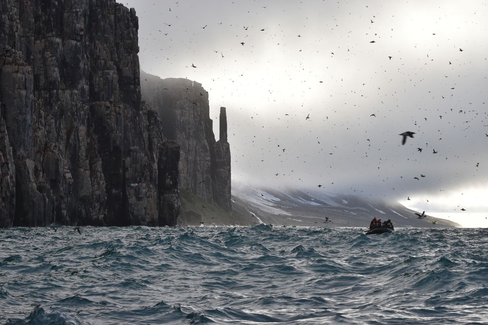 Photograph by Александр Чегодаев