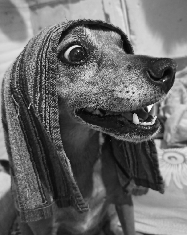 Фотография автора Татьяна Долгушева