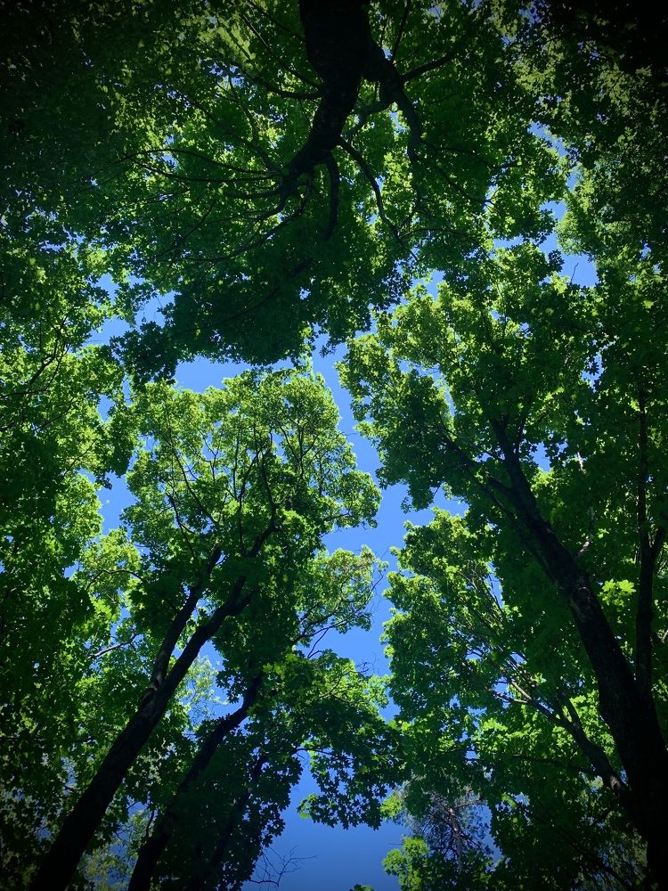 Photograph by Николай Курочкин