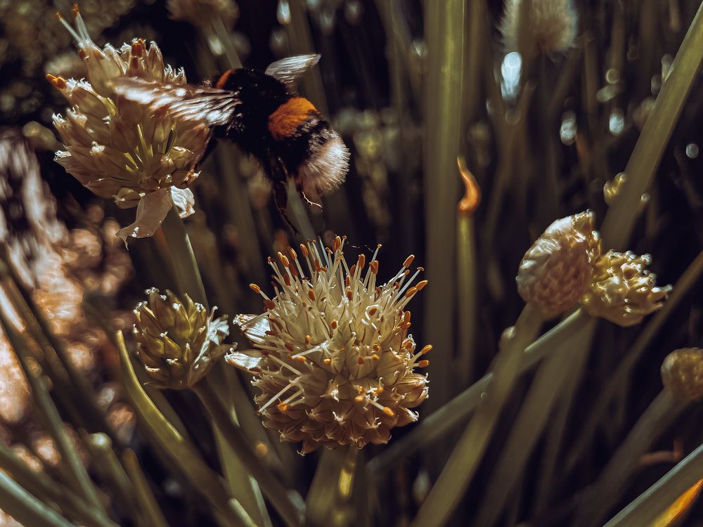 Photograph by Лада Сартакова