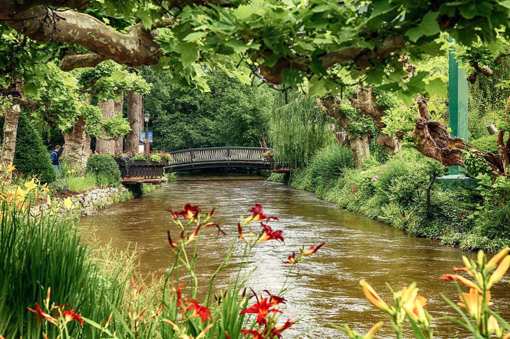 Photograph by Elena Gebert