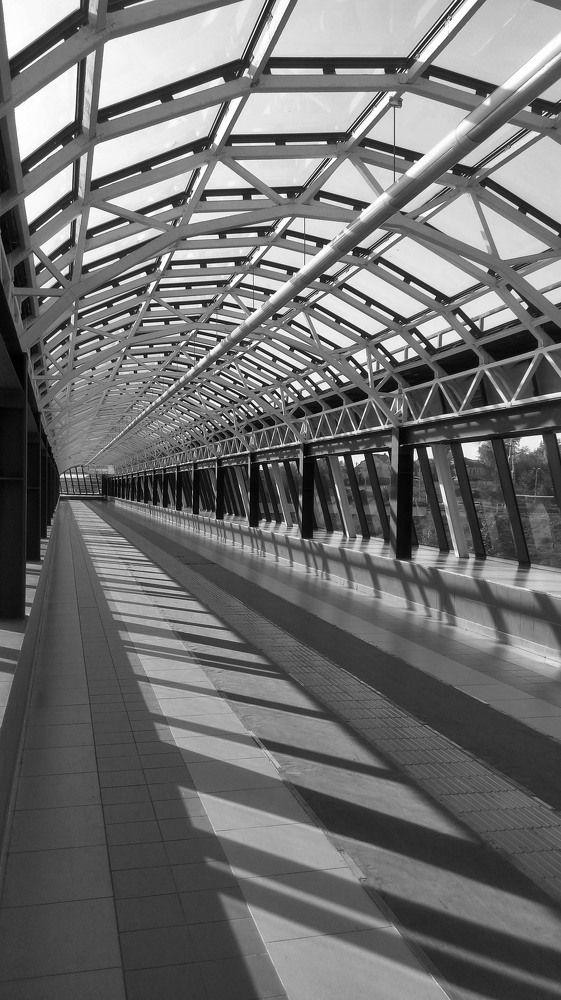 Photograph by Рашид Сафиуллин