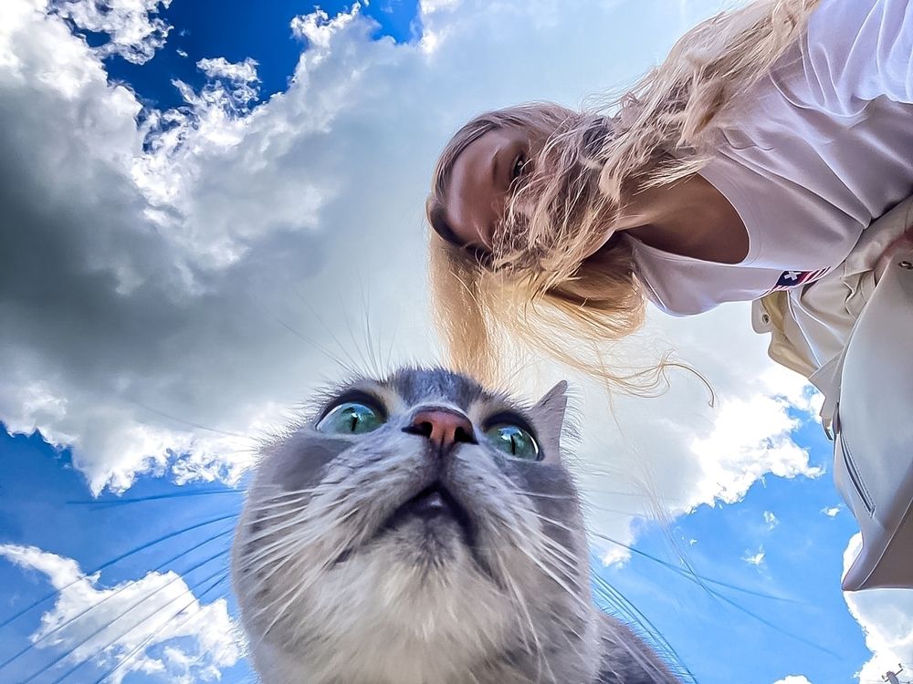 Photograph by Александр Деркач