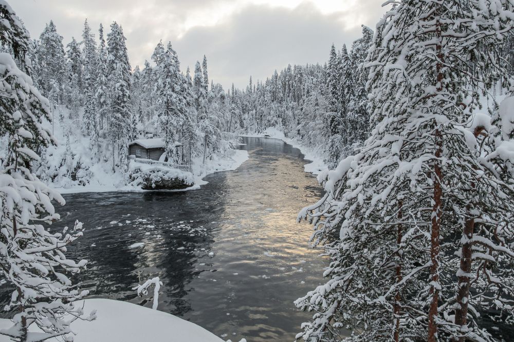 Photograph by Svetlana Dorokhova