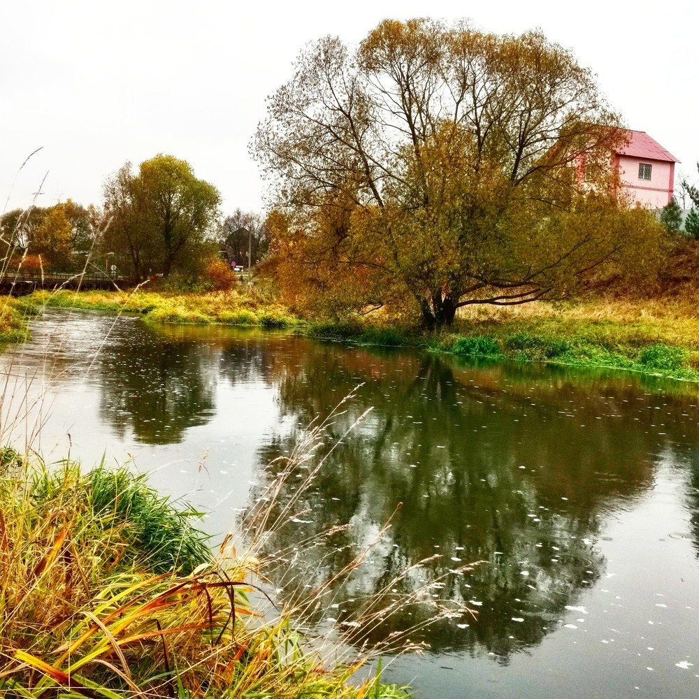 Photograph by Дмитрий Ронжин