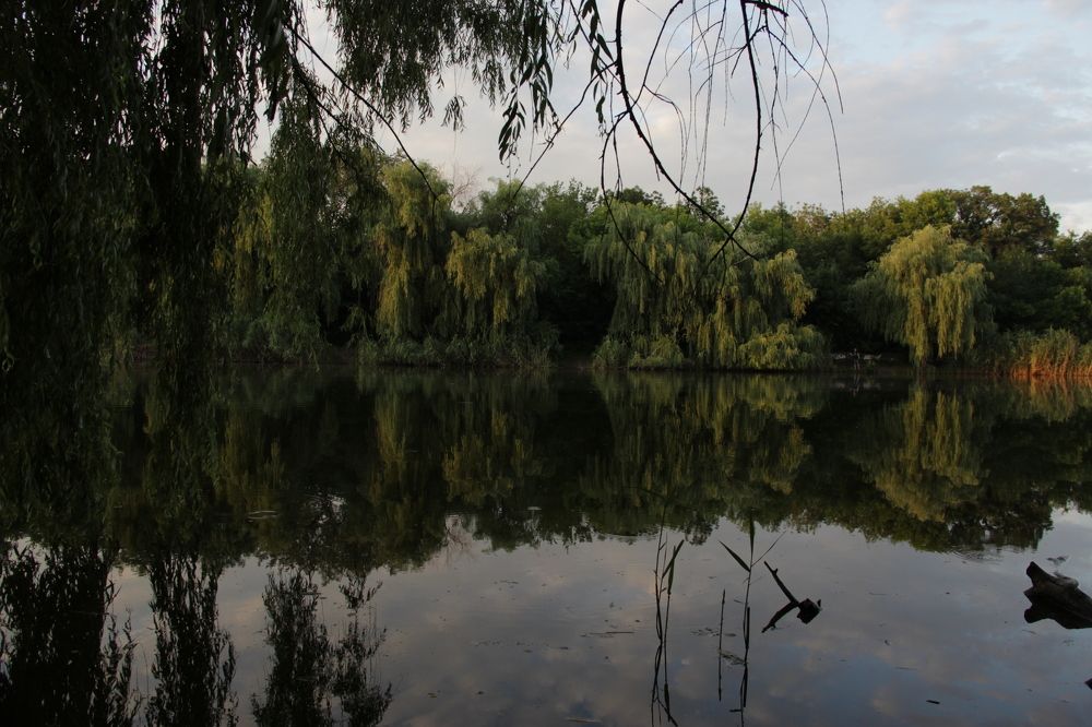 Photograph by Юрий Абашин