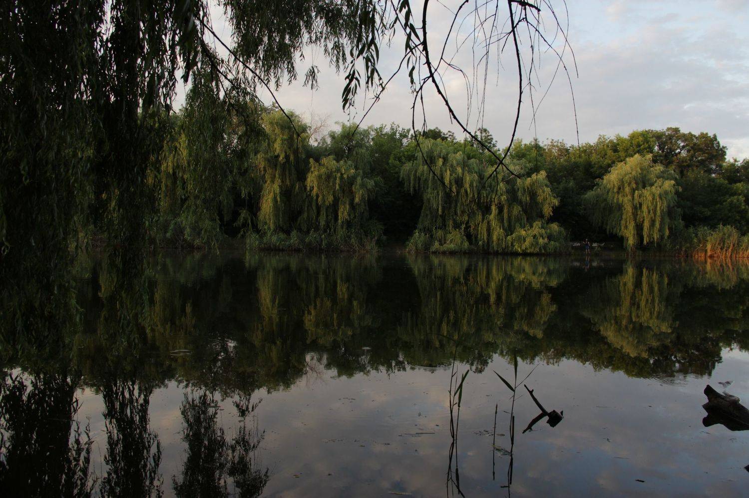Photo #6293818