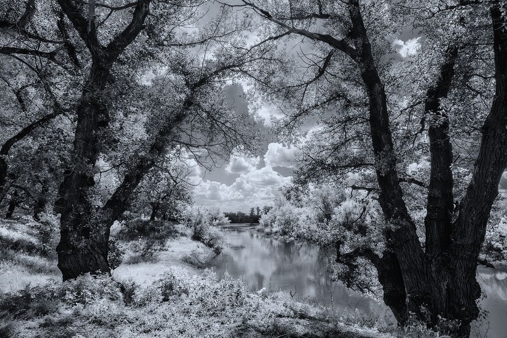 Фотография автора Игорь Баранов