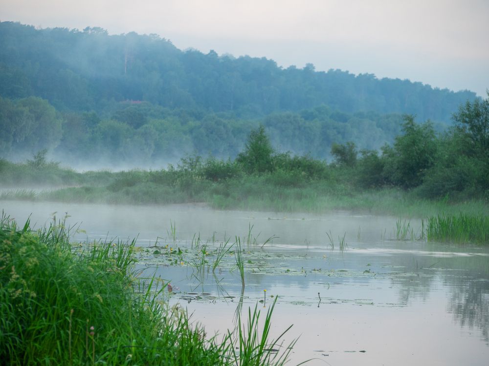 Photograph by Андрей Стрельников