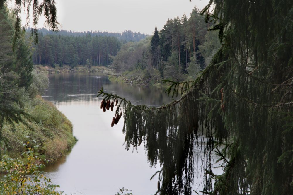 Photograph by Viktors Giršsons