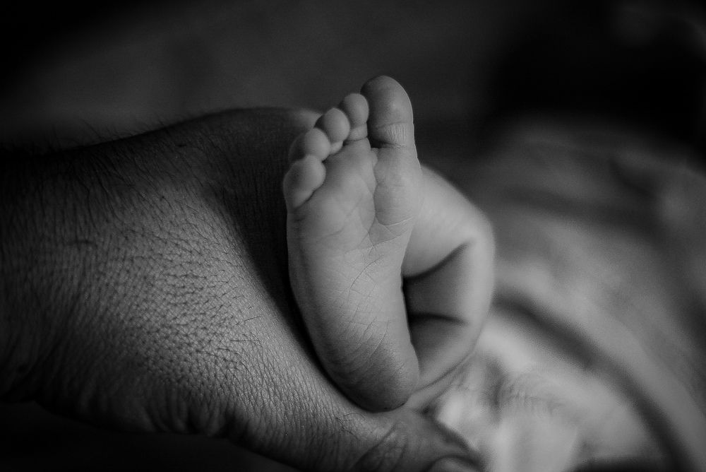 Photograph by BRZAN MOHAMMED