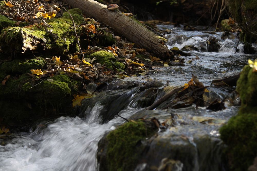 Photograph by Viktors Giršsons